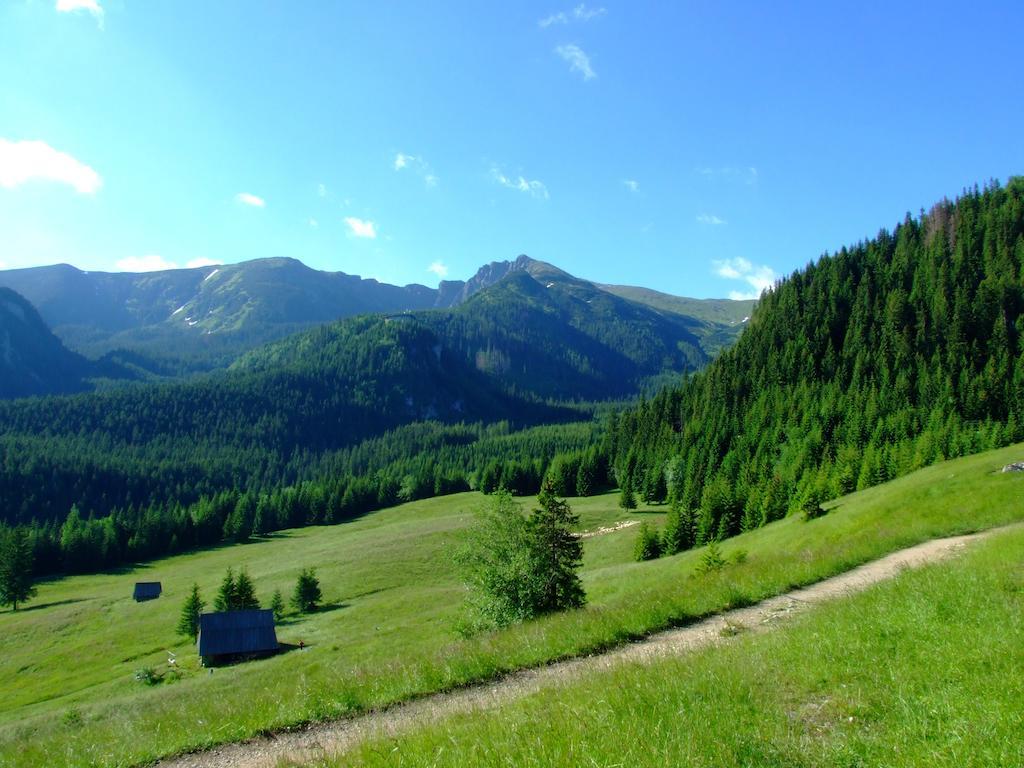 Hotel Gorski Kalatowki Zakopane Dış mekan fotoğraf